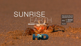 Пробуждающаяся планета (4-х дисковое издание) [Blu-ray] / Sunrise Earth: Seaside Collection (4-Disc Edition)