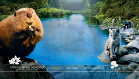 Приключения бобрёнка [Blu-ray] / Meche Blanche, les aventures du petit castor (White Tuft, the Little Beaver)