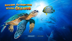 Большое путешествие вглубь океанов [Blu-ray] / OceanWorld