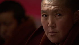 Дикий Китай (сериал) [Blu-ray] / BBC: Wild China (TV series)