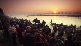 Ганг (видео) [Blu-ray] / BBC: Ganges (V)
