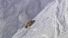 Планета Земля (4-х дисковое издание) [Blu-ray] / BBC: Planet Earth (4-Disc Edition)