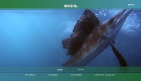 Жизнь (Подарочное издание) [Blu-ray] / BBC: Life (4-Disc Edition)