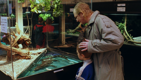 Жмурки [Blu-ray] / Zhmurki