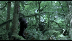 Загнанный [Blu-ray] / The Hunted