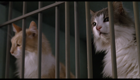 Гарфилд [Blu-ray] / Garfield