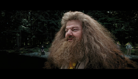Гарри Поттер и узник Азкабана [Blu-ray] / Harry Potter and the Prisoner of Azkaban