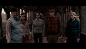 Гарри Поттер и орден Феникса [Blu-ray] / Harry Potter and the Order of the Phoenix