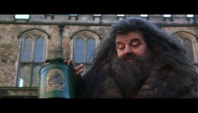 Гарри Поттер и тайная комната [Blu-ray] / Harry Potter and the Chamber of Secrets