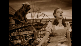 Волшебник страны Оз (2-х дисковое издание) [Blu-ray] / The Wizard of Oz (70th Anniversary Collector's Edition)