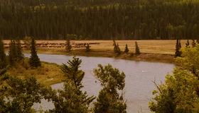 Прерванный путь [Blu-ray] / Broken Trail