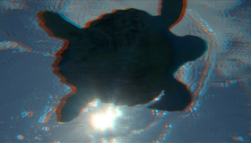 Большое путешествие вглубь океанов: Возвращение (3D) [Blu-ray] / Turtle: The Incredible Journey (3D)