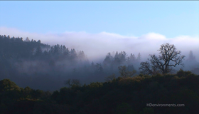 Живые пейзажи: Калифорнийские секвойи [Blu-ray] / Living Landscapes - Earthscapes: California Redwoods