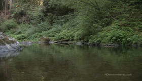 Живые пейзажи: Калифорнийские секвойи [Blu-ray] / Living Landscapes - Earthscapes: California Redwoods