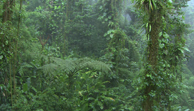 Живые пейзажи: Коста-Рика [Blu-ray] / Living Landscapes - Earthscapes: Costa Rica