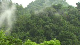Живые пейзажи: Коста-Рика [Blu-ray] / Living Landscapes - Earthscapes: Costa Rica