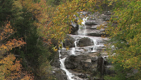 Живые пейзажи: Осень в лесах Новой Англии [Blu-ray] / Living Landscapes - Earthscapes: Fall in New England