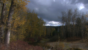 Живые пейзажи: Осень в лесах Новой Англии [Blu-ray] / Living Landscapes - Earthscapes: Fall in New England