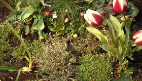 Живые пейзажи: Времена года [Blu-ray] / Living Landscapes - Earthscapes: Four Seasons