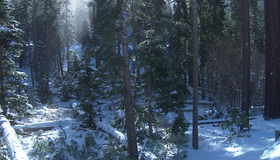 Живые пейзажи: Времена года [Blu-ray] / Living Landscapes - Earthscapes: Four Seasons