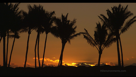 Живые пейзажи: Гавайские острова [Blu-ray] / Living Landscapes - Earthscapes: Hawaii