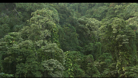 Живые пейзажи: Гавайские острова [Blu-ray] / Living Landscapes - Earthscapes: Hawaii