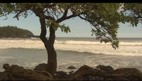 Живые пейзажи: Гавайские острова [Blu-ray] / Living Landscapes - Earthscapes: Hawaii