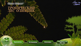 Живые пейзажи: Тропический лес Олимпик [Blu-ray] / Living Landscapes - Earthscapes: Olympic Rainforest