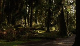 Живые пейзажи: Тропический лес Олимпик [Blu-ray] / Living Landscapes - Earthscapes: Olympic Rainforest