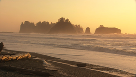 Живые пейзажи: Побережье Тихого океана [Blu-ray] / Living Landscapes - Earthscapes: Pacific Coast
