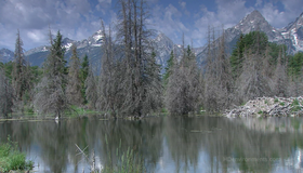 Живые пейзажи: Скалистые горы [Blu-ray] / Living Landscapes - Earthscapes: Rocky Mountains