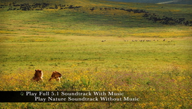 Живые пейзажи: Дикая Африка [Blu-ray] / Living Landscapes - Earthscapes: Wild Africa