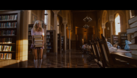 Мальчикам это нравится [Blu-ray] / The House Bunny