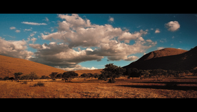 Сурикаты [Blu-ray] / The Meerkats