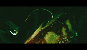 Коллекционер [Blu-ray] / The Collector