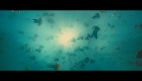 Океаны [Blu-ray] / Oceans