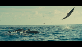 Океаны [Blu-ray] / Oceans
