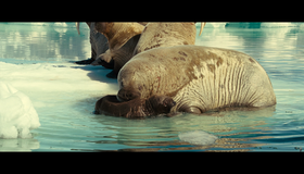 Океаны [Blu-ray] / Oceans