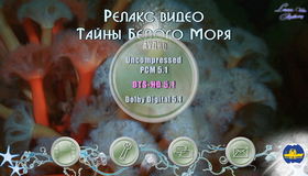 Тайны Белого моря: Релакс видео [Blu-ray] / Mysteries of the White Sea: The Great Salma