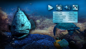 Чудеса океана (3D) [Blu-ray 3D] / IMAX: Ocean Wonderland (3D)