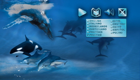 Дельфины и киты (3D) [Blu-ray 3D] / IMAX: Dolphins and Whales: Tribes of the Ocean (3D)