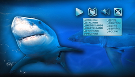 Акулы (3D) [Blu-ray 3D] / IMAX: Sharks (3D)