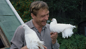 Любовь и голуби [Blu-ray] / Love and Doves (Lyubov i golubi)