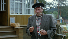 Любовь и голуби [Blu-ray] / Love and Doves (Lyubov i golubi)