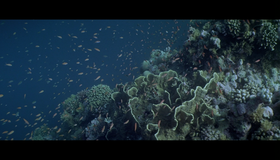 Атлантида [Blu-ray] / Atlantis