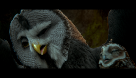 Легенды ночных стражей [Blu-ray] / Legend of the Guardians: The Owls of Ga’Hoole