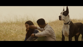 Семь жизней [Blu-ray] / Seven Pounds