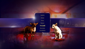 Крошка из Беверли-Хиллз 2 [Blu-ray] / Beverly Hills Chihuahua 2