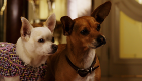 Крошка из Беверли-Хиллз 2 [Blu-ray] / Beverly Hills Chihuahua 2