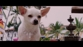 Крошка из Беверли-Хиллз [Blu-ray] / Beverly Hills Chihuahua